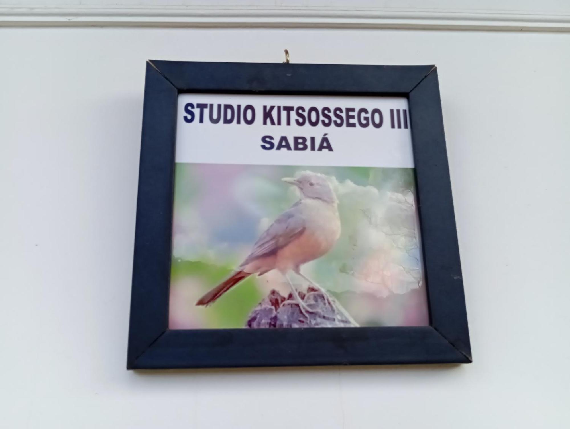 Studio Kitsossego Curitiba Exterior photo